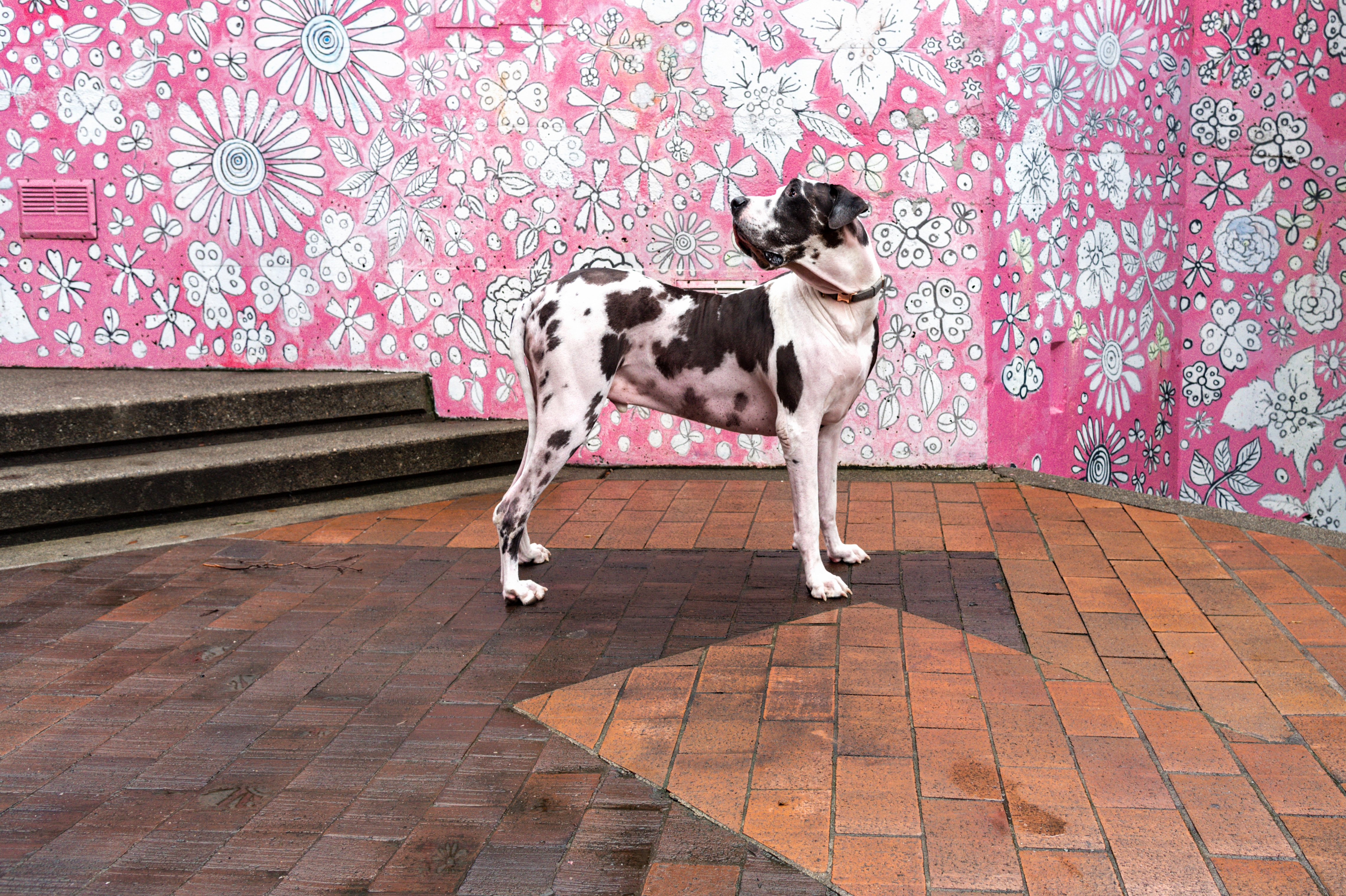 Artists Oppose New EU Sales Tax, Which Will Raise Art Prices in France